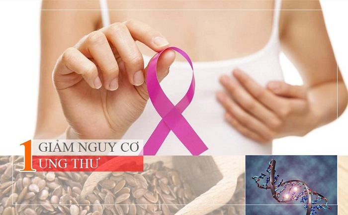 Hạt lanh có thể giúp ngăn ngừa ung thư vú hay không?