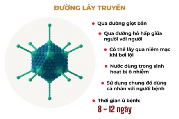 Adenovirus lây truyền như thế nào? Nắm bắt để bảo vệ mình