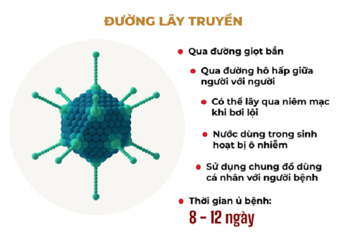 Adenovirus lây truyền như thế nào? Nắm bắt để bảo vệ mình